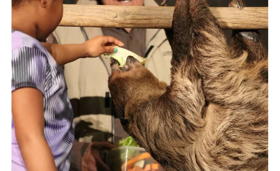 Joan Embery, a conservationist in the San Diego area, entertains and educates MCAA 2017