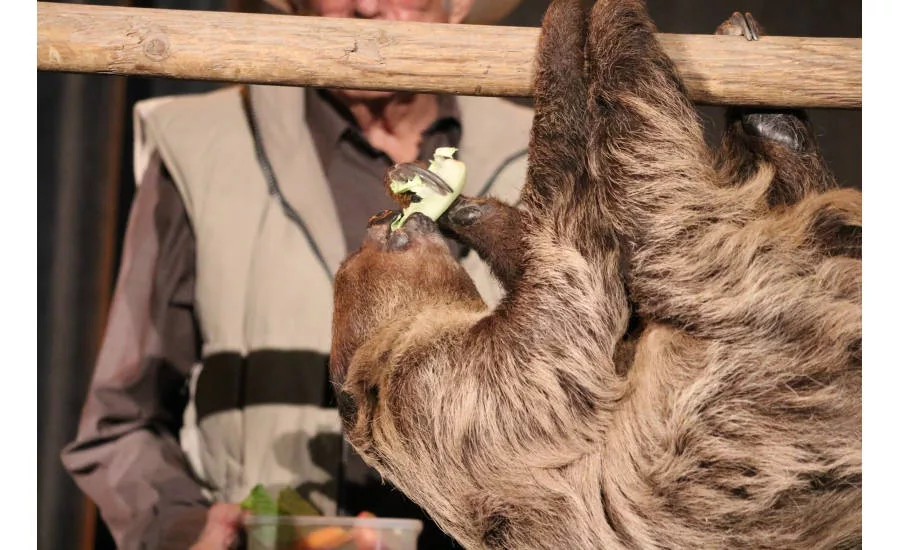 Joan Embery, a conservationist in the San Diego area, entertains and educates MCAA 2017