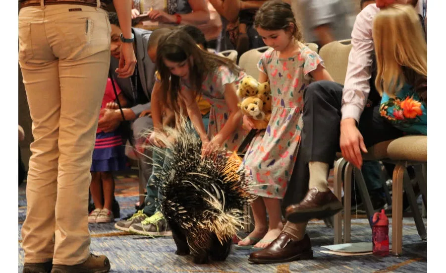 Joan Embery, a conservationist in the San Diego area, entertains and educates MCAA 2017