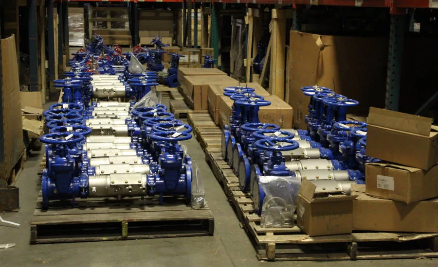 Barracuda 20 Double Check Valve Backflow Preventer