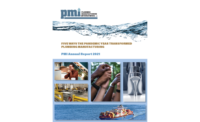 PMI annual report