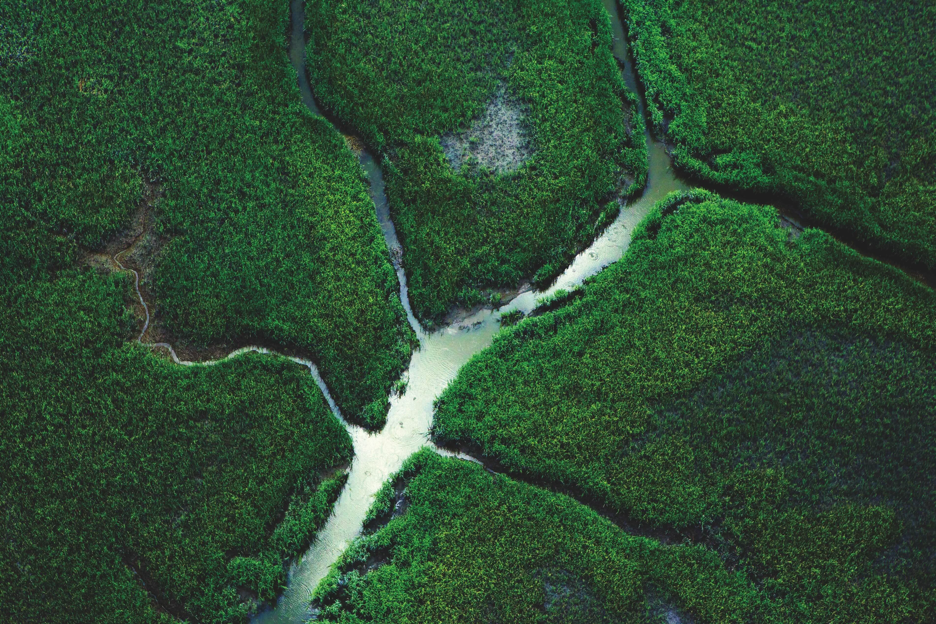 Aerial view of a marsh.