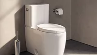 Duravit Collection One Two Piece Toilet