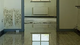 Water damage and mold in a room.
