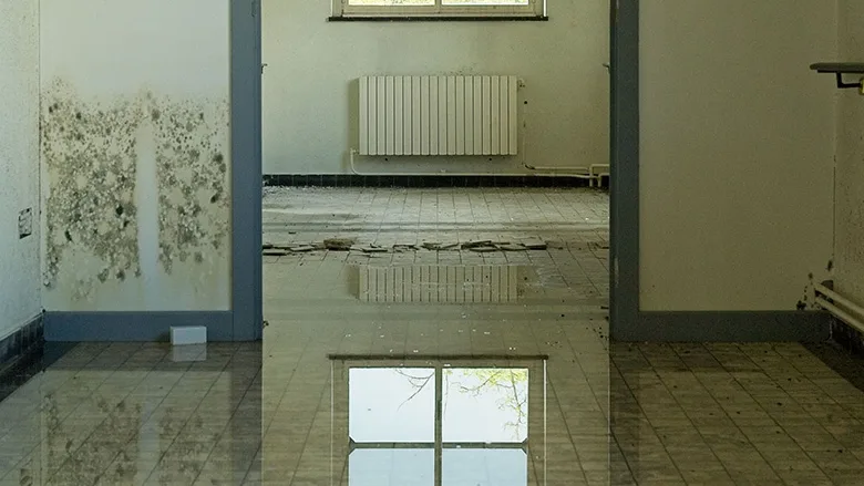 Water damage and mold in a room.