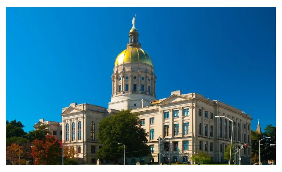 Georgia Law Unlicensed