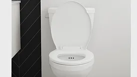FGI Industries FLUSH GUARD Anti-Overflow Toilet