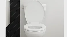 FGI Industries FLUSH GUARD Anti-Overflow Toilet