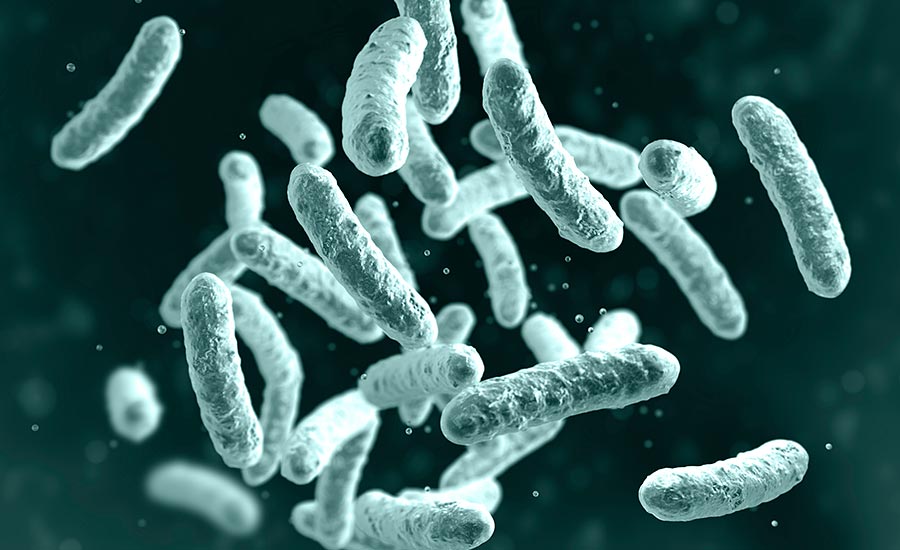 Legionella in HVAC