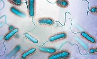 Legionella prevention and codes Legionella prevention and codes