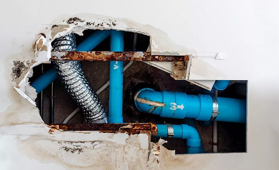 IAPMO codes and standards