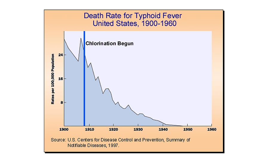 Typhoid Stats