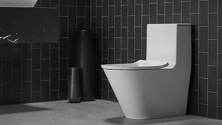 Kohler one-piece toilet