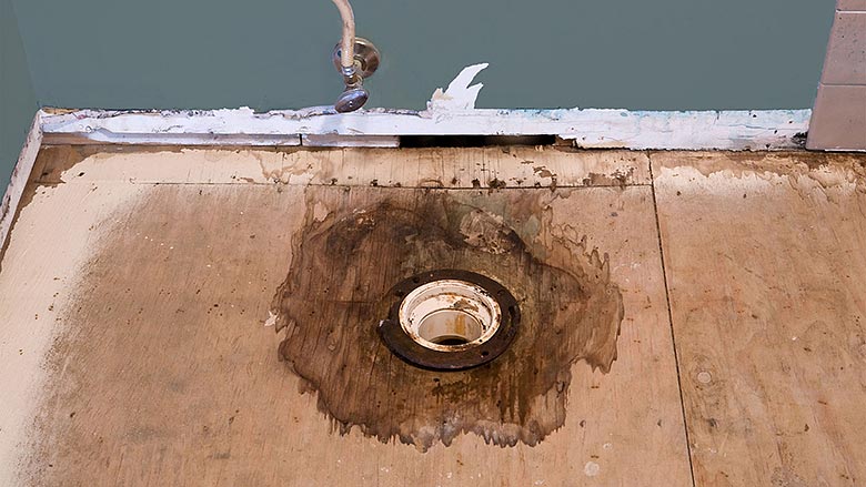 Looking for Signs of Water Damage in the Bathroom