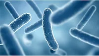 reducing Legionella risk reducing Legionella risk