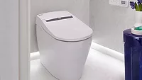 DXV bidet toilet