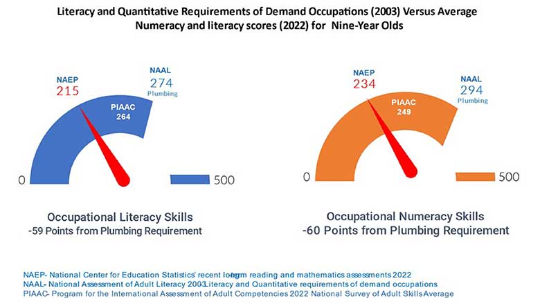 literacy and numeracy requirements