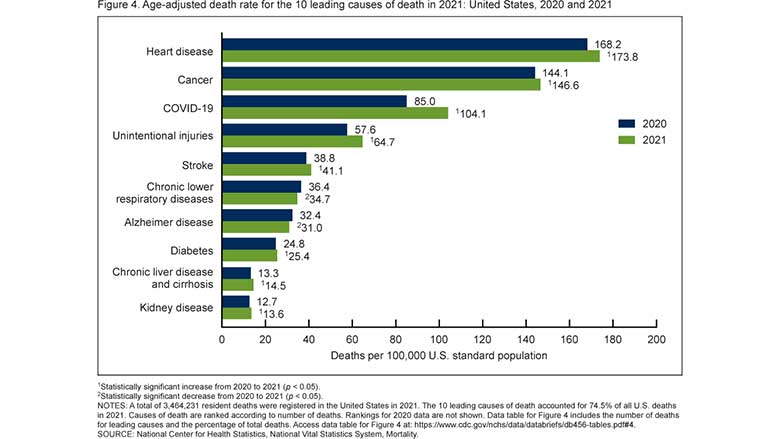 Leading Cause of Death graph