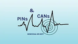 Lowell Manalo column PINs and CANs