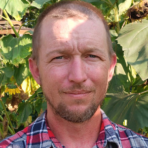 Andrew Wilson