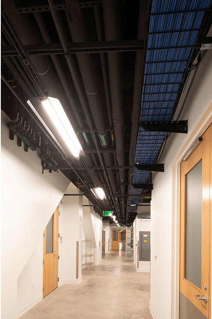 Exposed piping painted black.