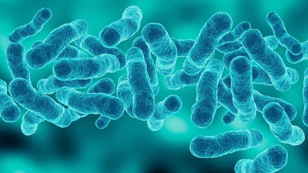 Legionella cases are leveling off, but experts say we must ramp up prevention