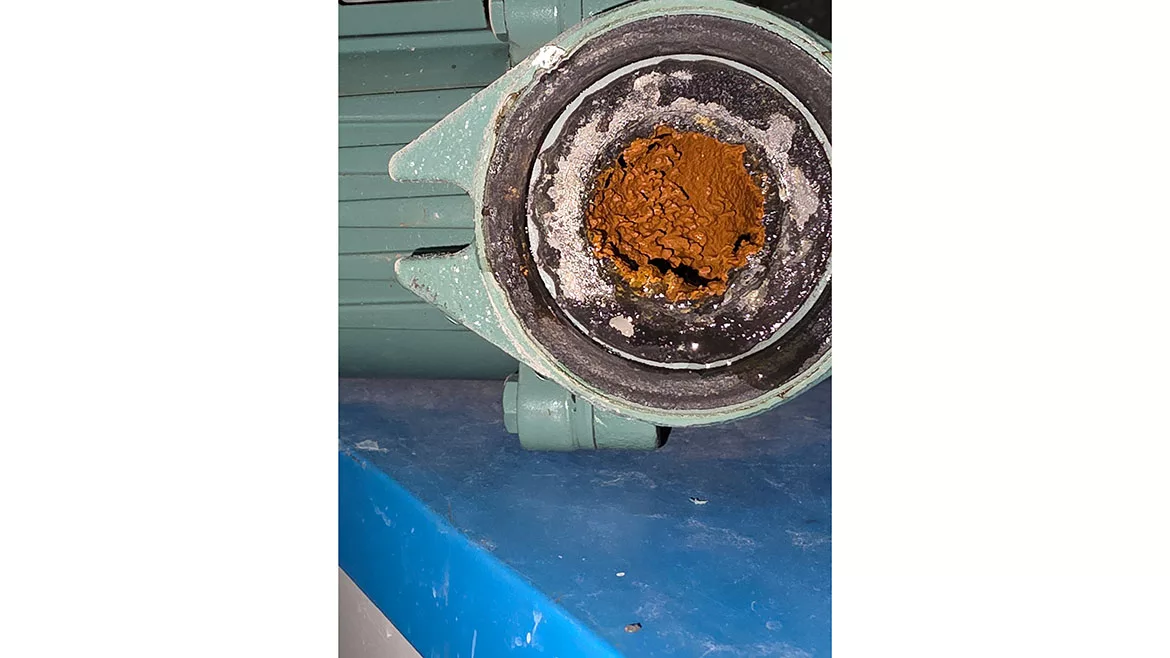 Buildup inside the iron pumps