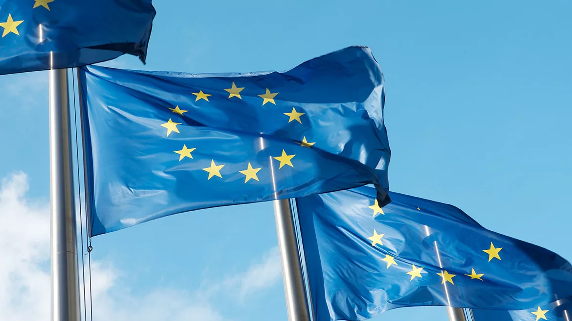 European Union Flag