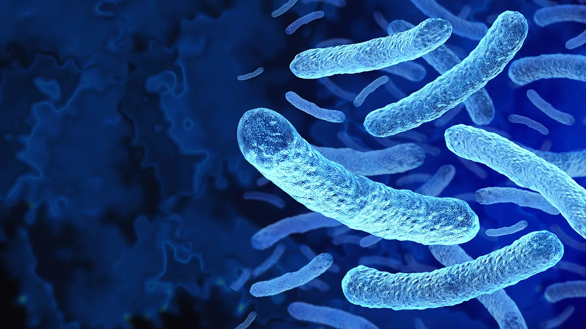 Legionella