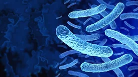 Legionella