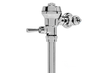 Delany flush valve