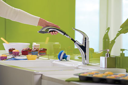 Danze pull-out faucet