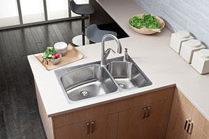 Elkay double-bowl sinks