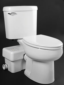Liberty toilet