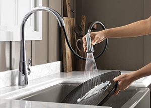 faucet spray option