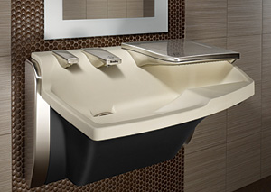 Bradley lavatory system
