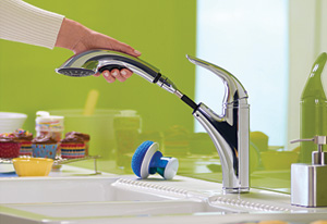 Danze pull-out faucet