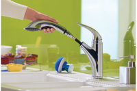 Danze pull-out faucet