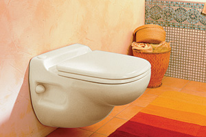 Saniflo toilet system