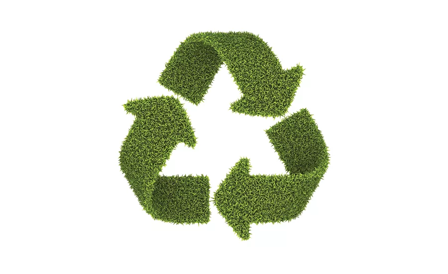 Build your Green Team: The goal is to go green themselves, educate others how to be green and sell green products and services.