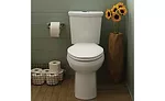 American Standard; remodeling, universal design, aging-in-place, bathtub, toilet, shower, NKBA