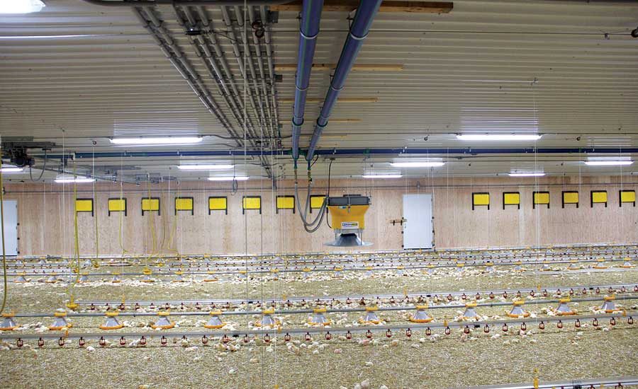 Hydronic system provides safe and warm heating year-round at Ontario farm |  2017-06-28 | Plumbing and Mechanical | Plumbing u0026 Mechanical
