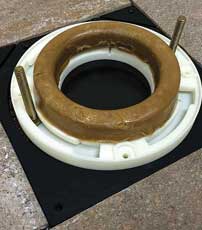 Barracuda toilet flange