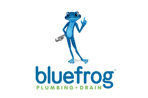 Blue Frog