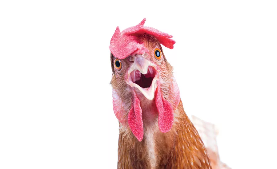 Life's painful lessons