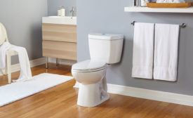 Niagara 0.8 gpf Toilet for Water Conservation