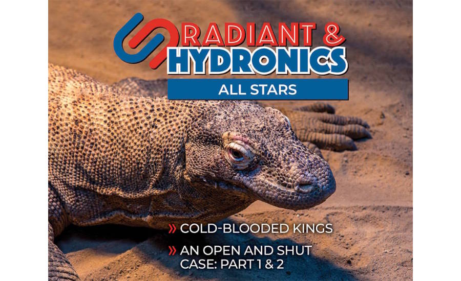 Radiant & Hydronics All-Stars eBook cover